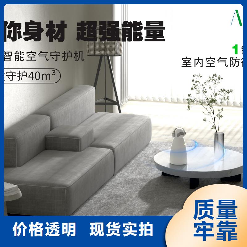 【深圳】新房装修除甲醛厂家报价负离子空气净化器