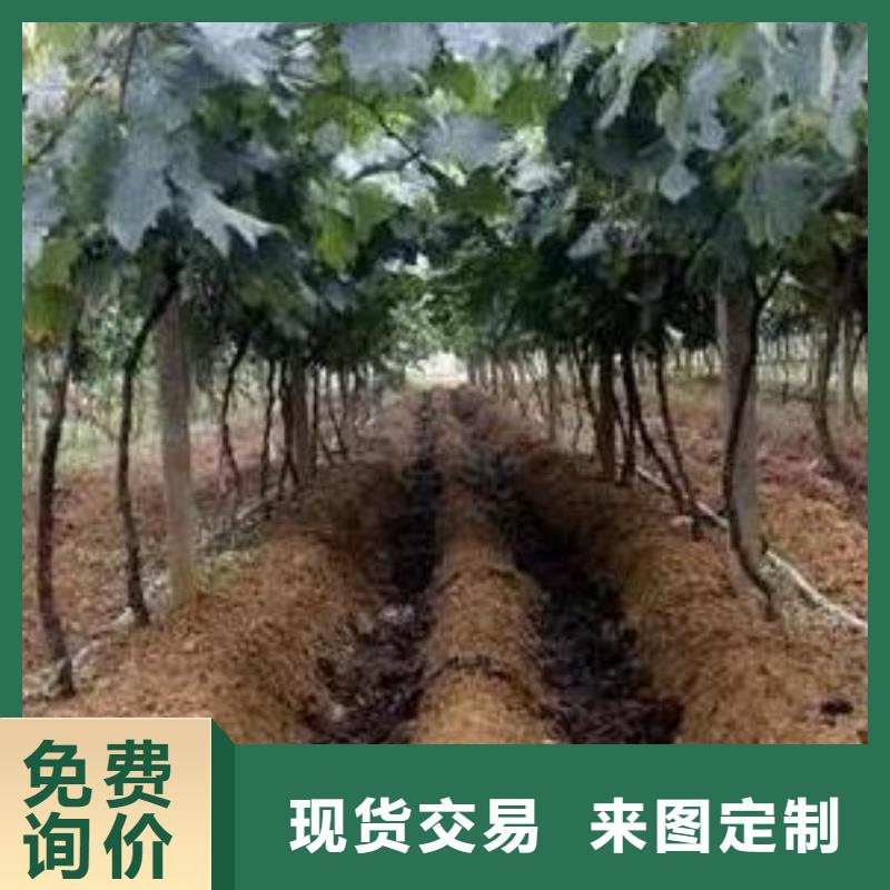(香满路)琼中县鸡粪有机肥为土壤修复