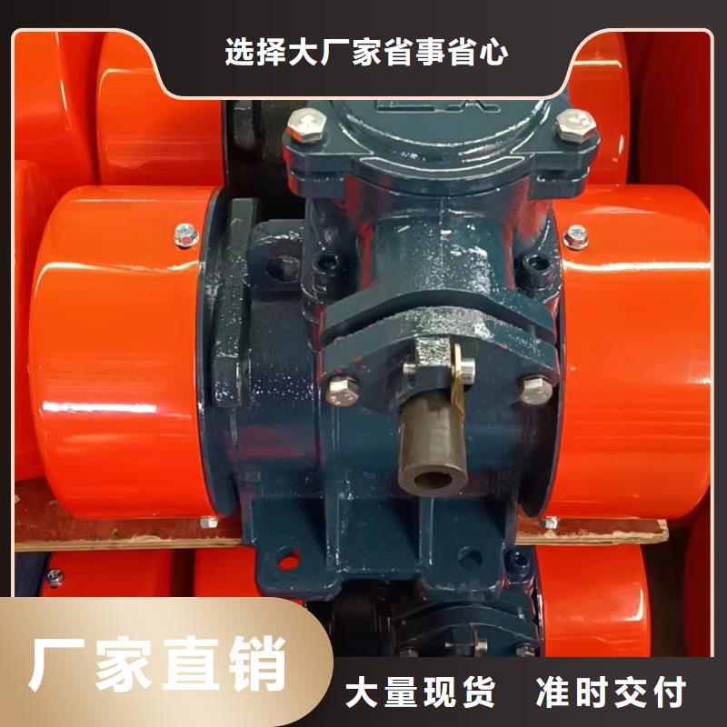 【防爆振动电机平板振动器厂家好厂家有担当】