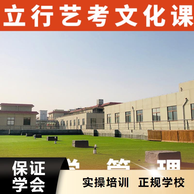 艺术生文化课补习学校有没有靠谱的亲人给推荐一下的