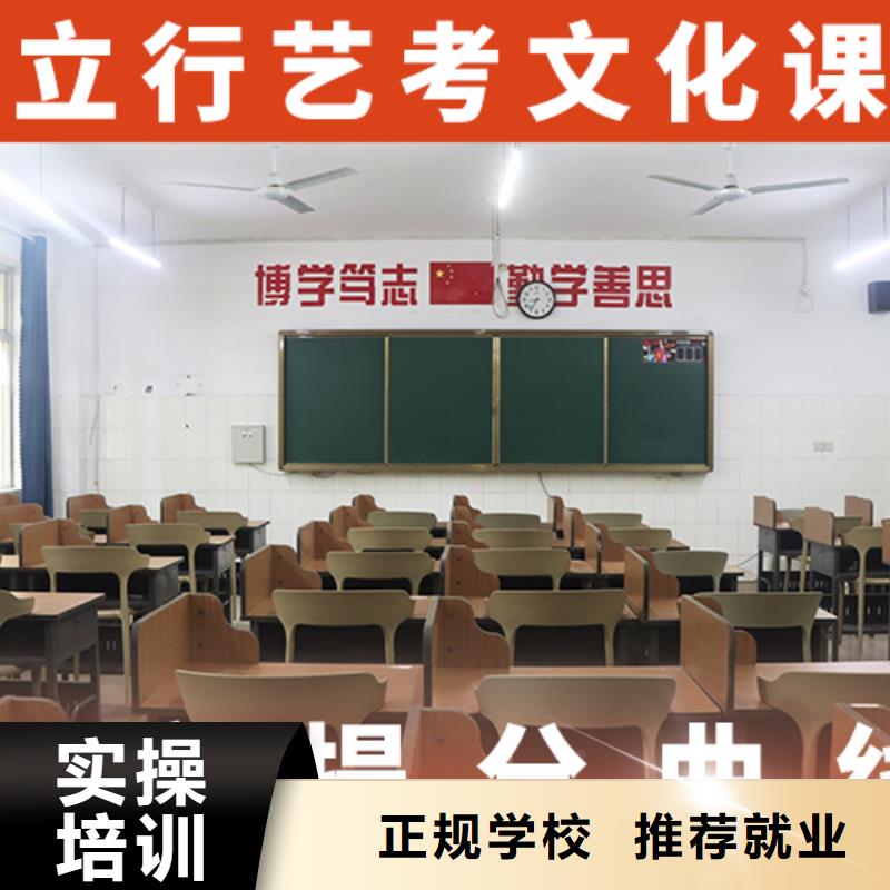 艺术生文化课补习学校有没有靠谱的亲人给推荐一下的