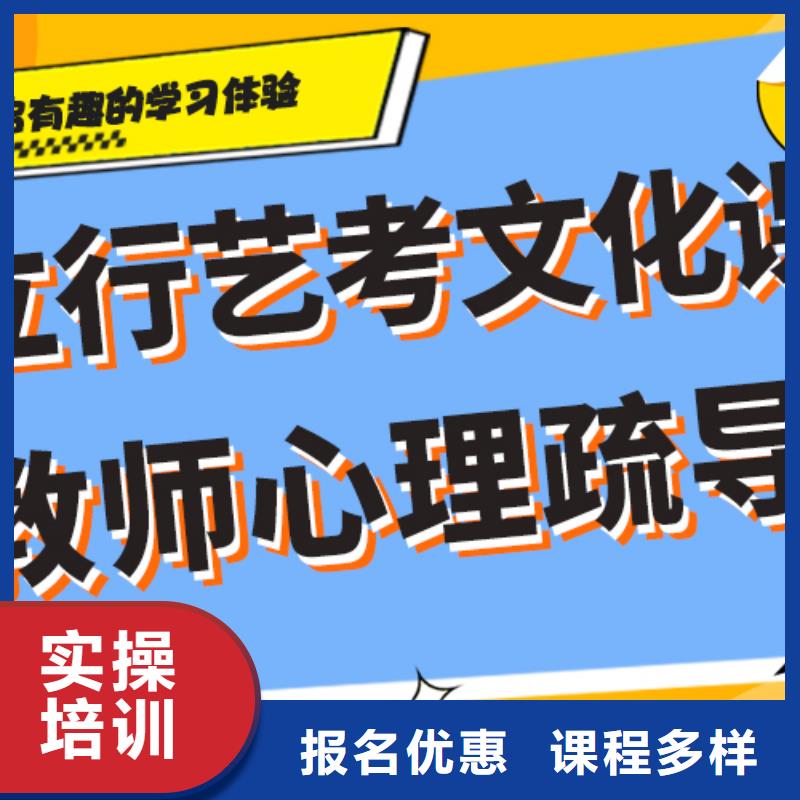 艺考文化课美术艺考正规学校