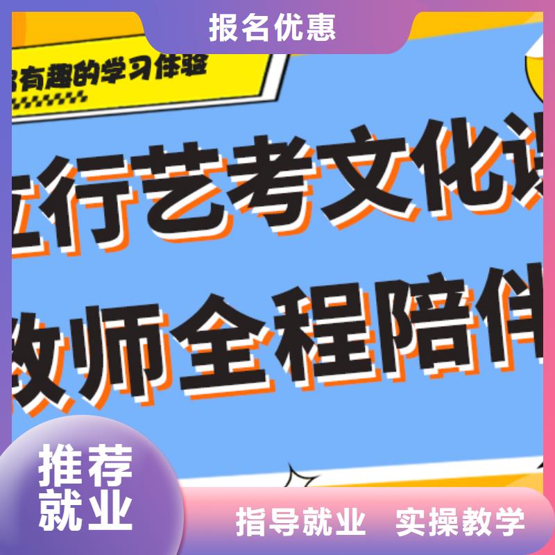 艺考文化课【艺考文化课集训班】老师专业