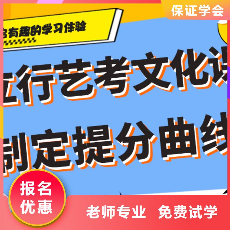 艺考文化课集训班艺考一对一教学正规培训