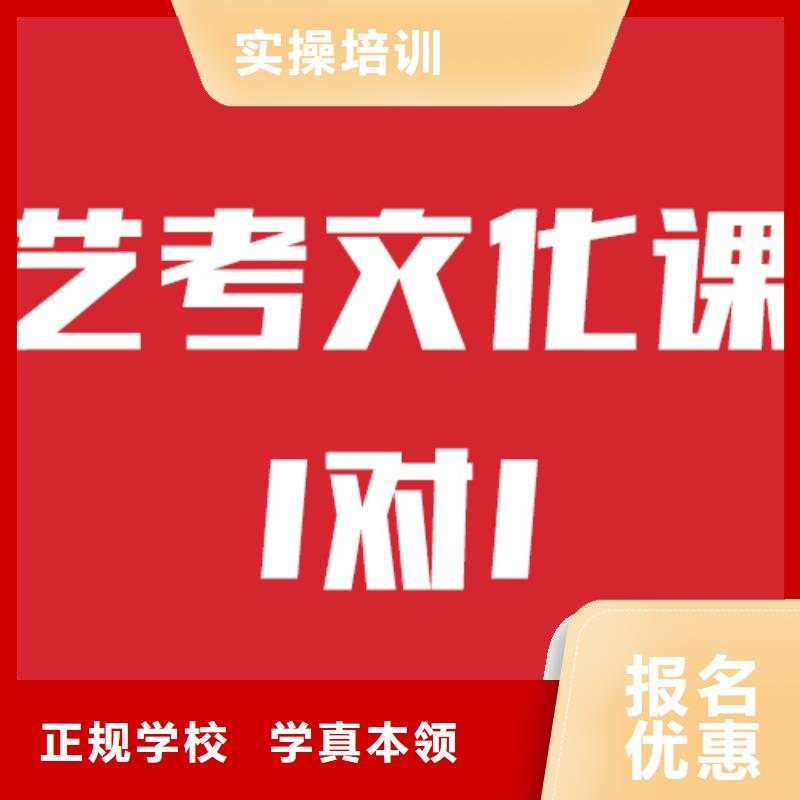 艺术生文化课培训班有几所学校他们家不错，真的吗