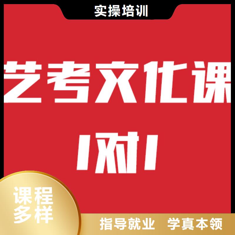 艺术生文化课培训机构有几所信誉怎么样？