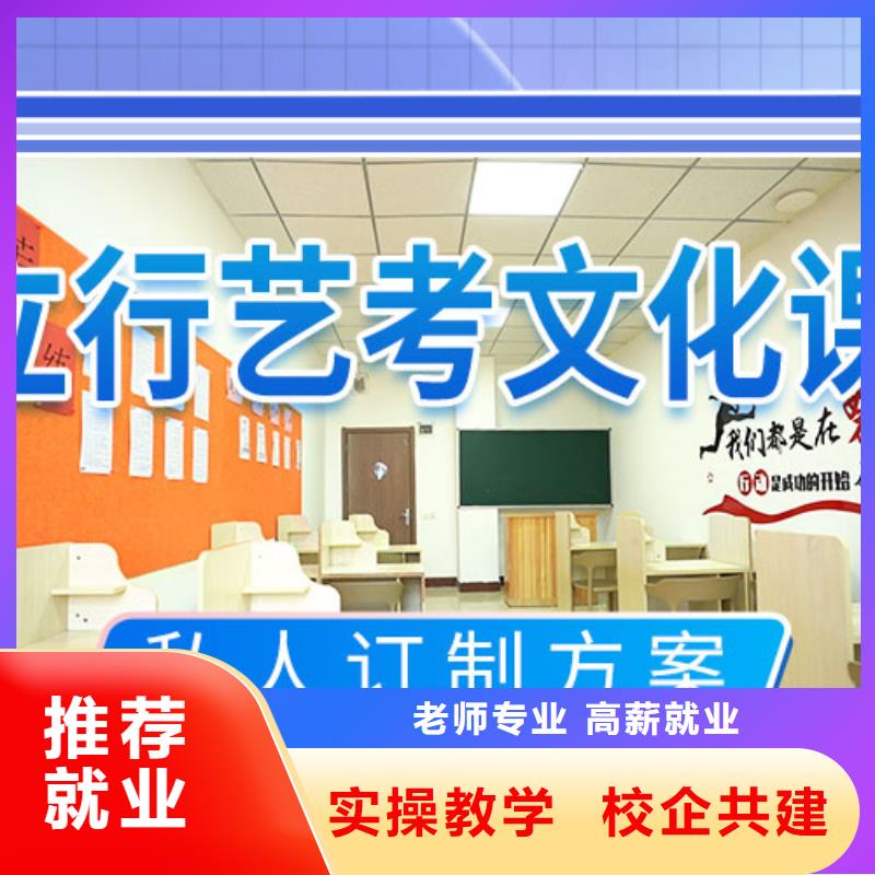 艺考文化课冲刺【艺考培训学校】老师专业