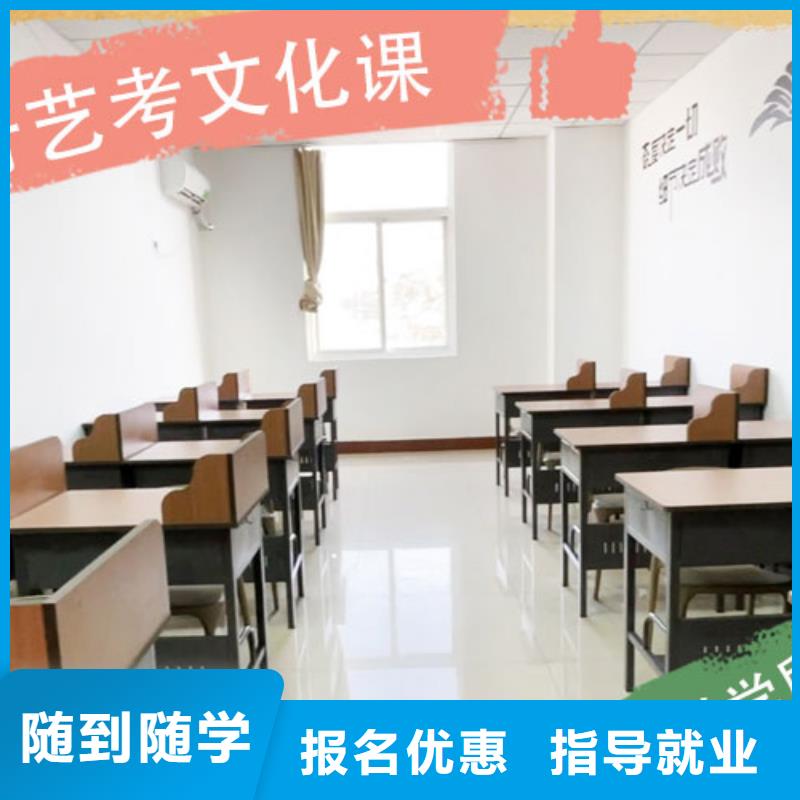 艺术生文化课辅导集训学费个性化教学