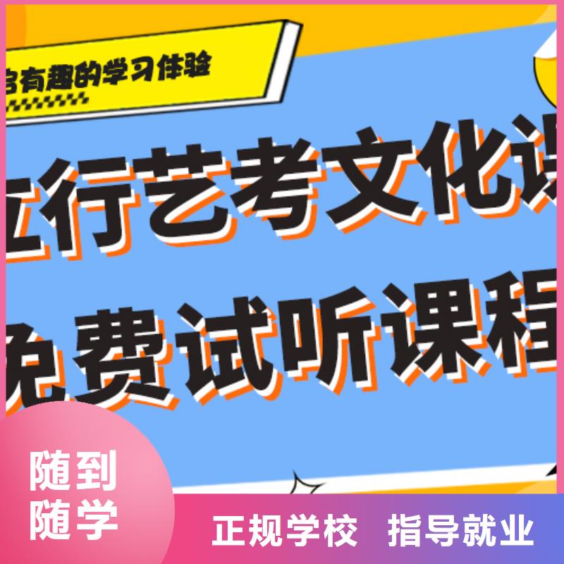 艺术生文化课集训冲刺价格针对性教学