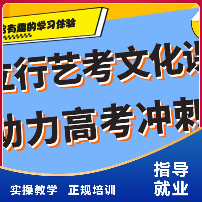 艺考生文化课补习机构哪里好定制专属课程