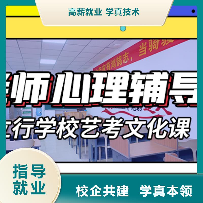 艺术生文化课补习机构怎么样定制专属课程