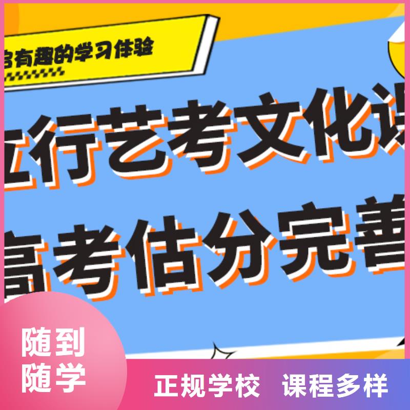 哪个好艺术生文化课补习学校强大的师资配备