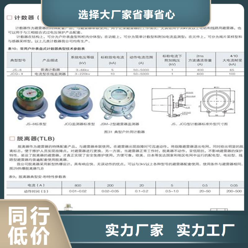 JSYF9-S避雷器计数器