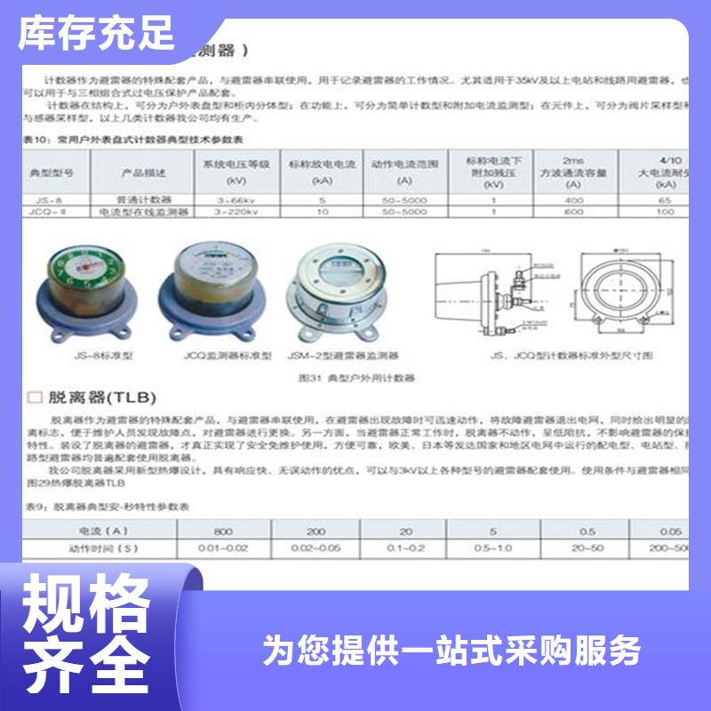 JS-85避雷器计数器