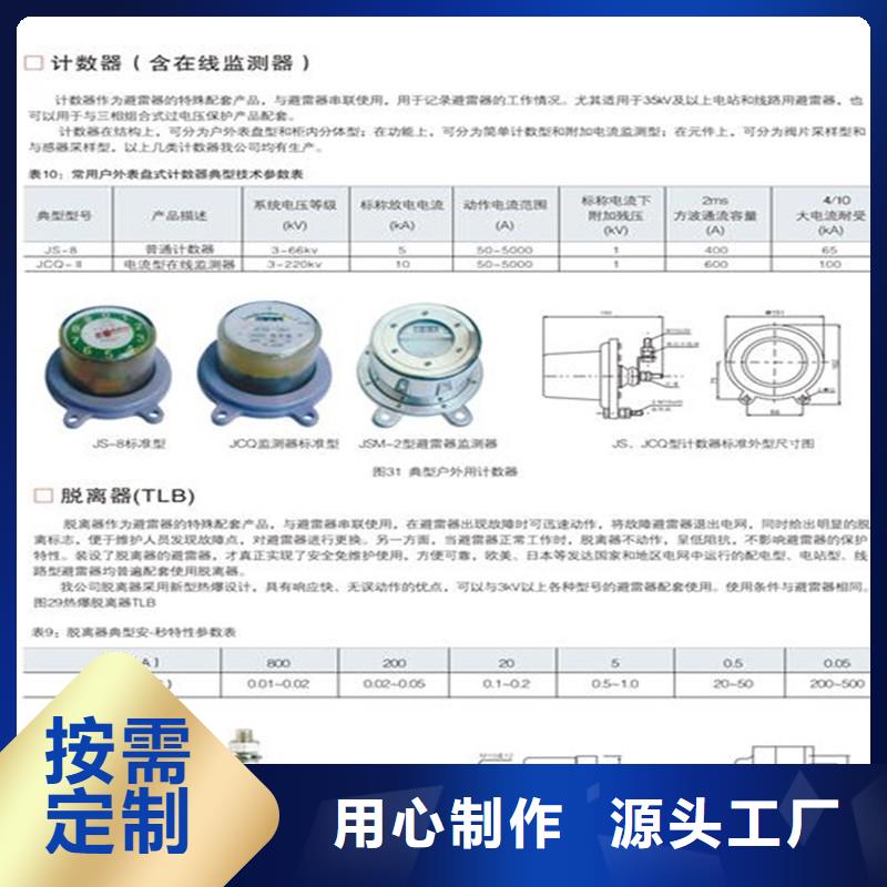 JSY-10/600放电计数器