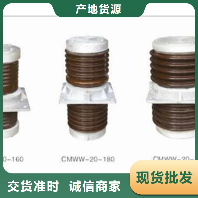 CWWL-35/2500A陶瓷穿墙套管