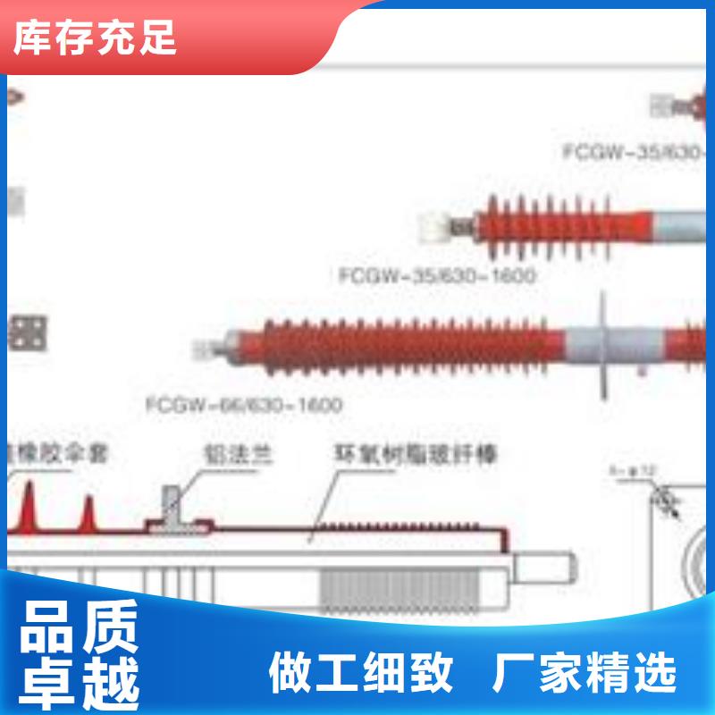 CWWL-35/3000A高压穿墙套管樊高