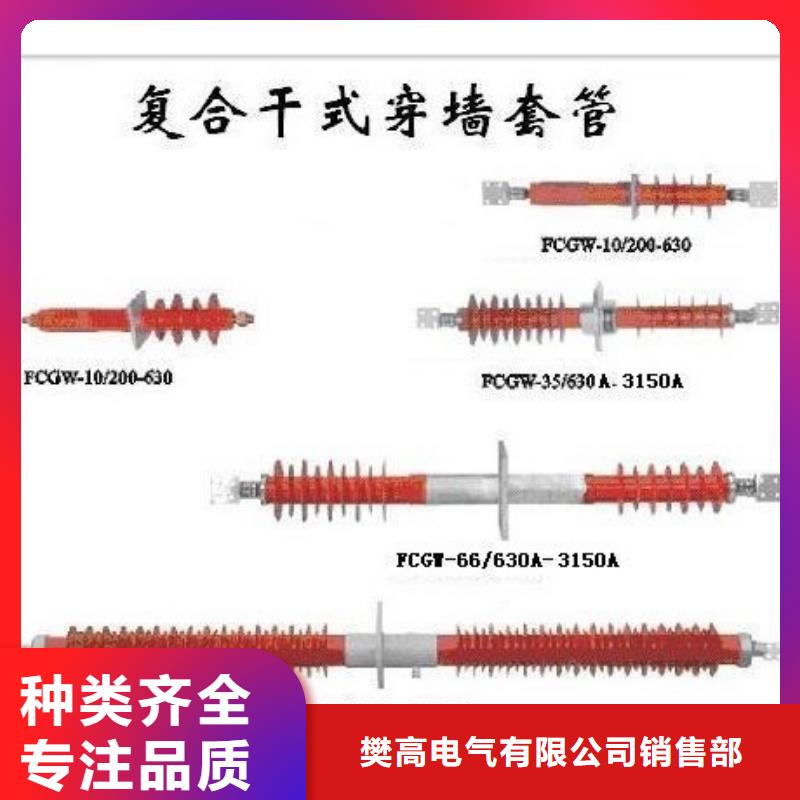 FCGW-12/4000高压穿墙套管