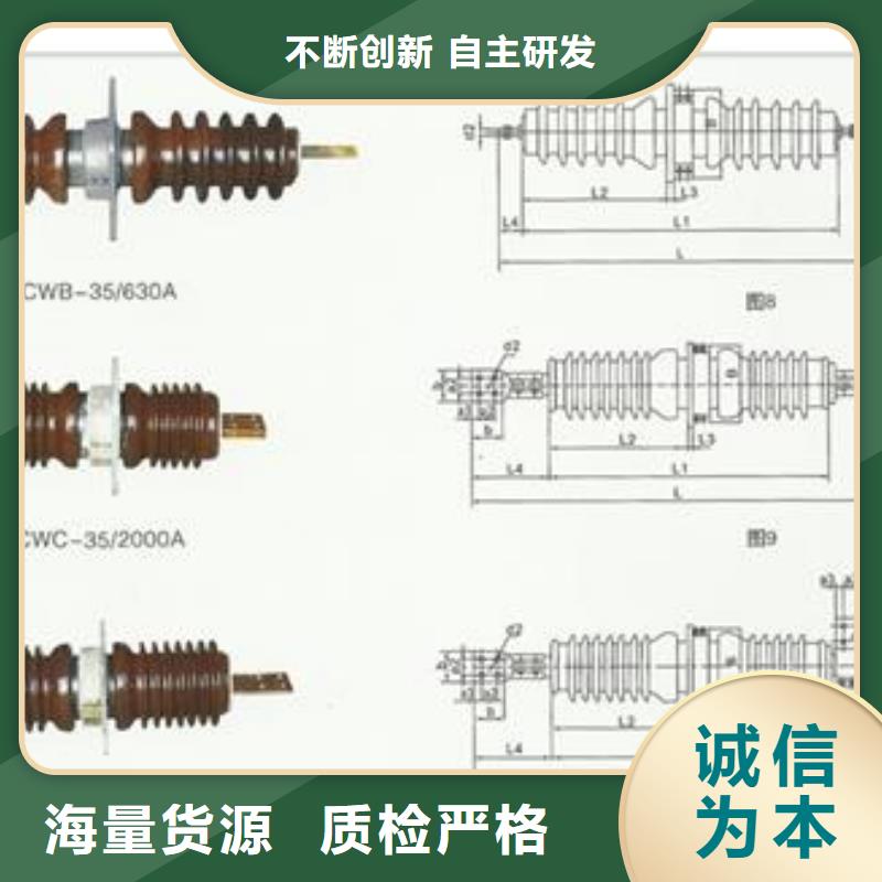 CWB-10/1250A陶瓷套管樊高