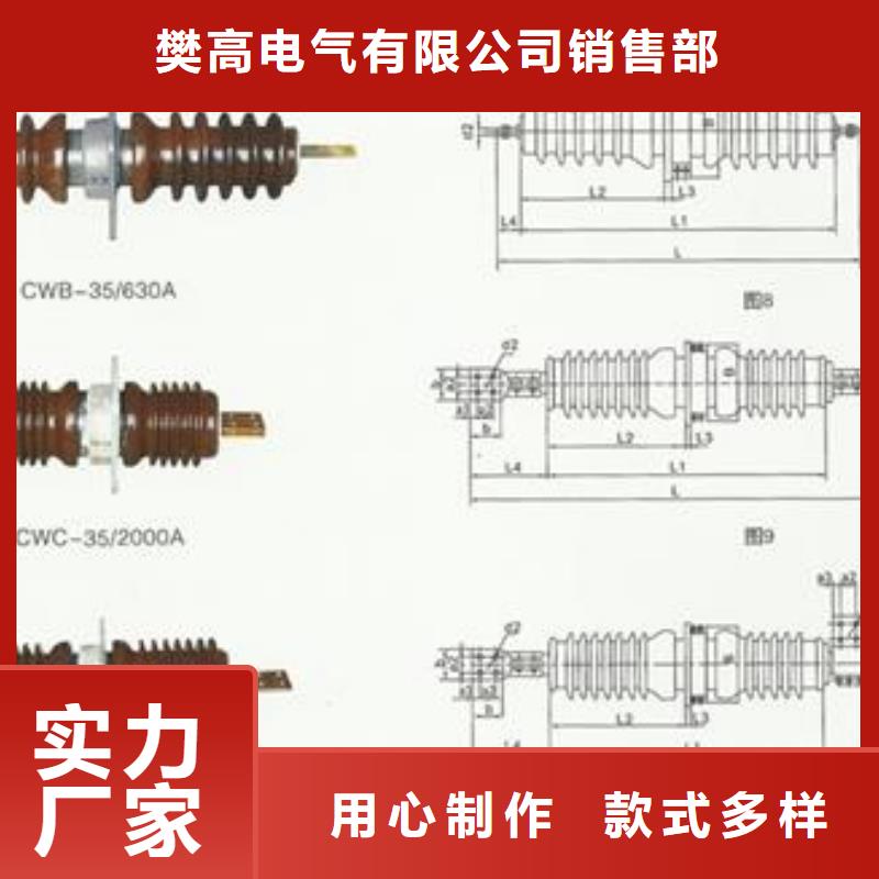 CWW-10/3150A-4高压穿墙套管