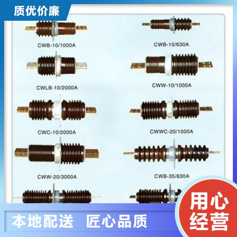 CWW-10/3150A-4高压穿墙套管