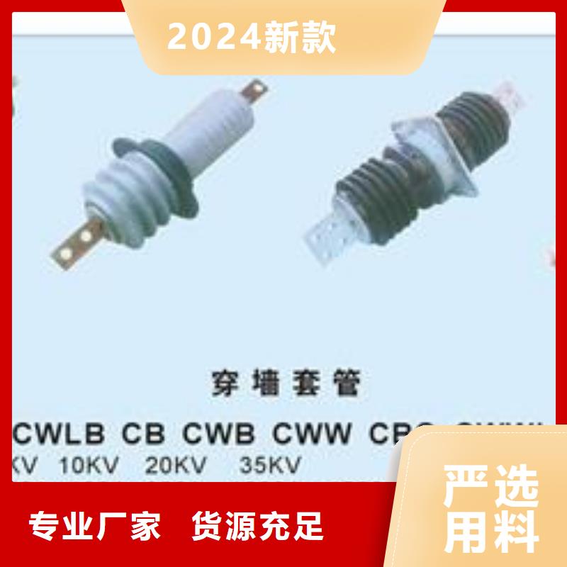 FCGW-24/400高压复合穿墙套管