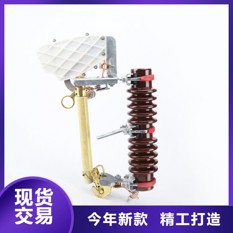 XRNP-24KV/0.2A限流熔断器