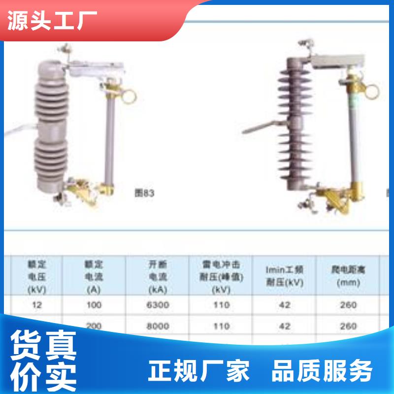 XRNP-40.5/0.2A高压限流熔断器