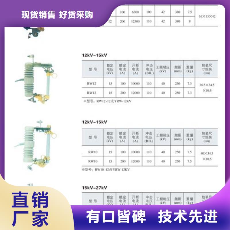 XRNP-24KV/0.2A限流熔断器