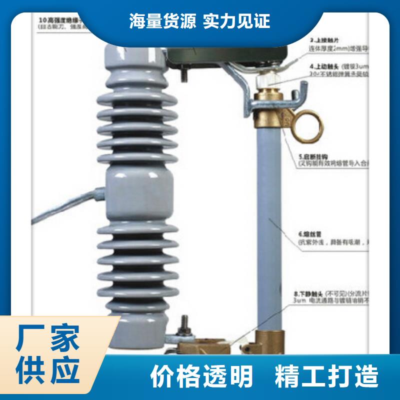 BR2-10/50A高压熔断器价格