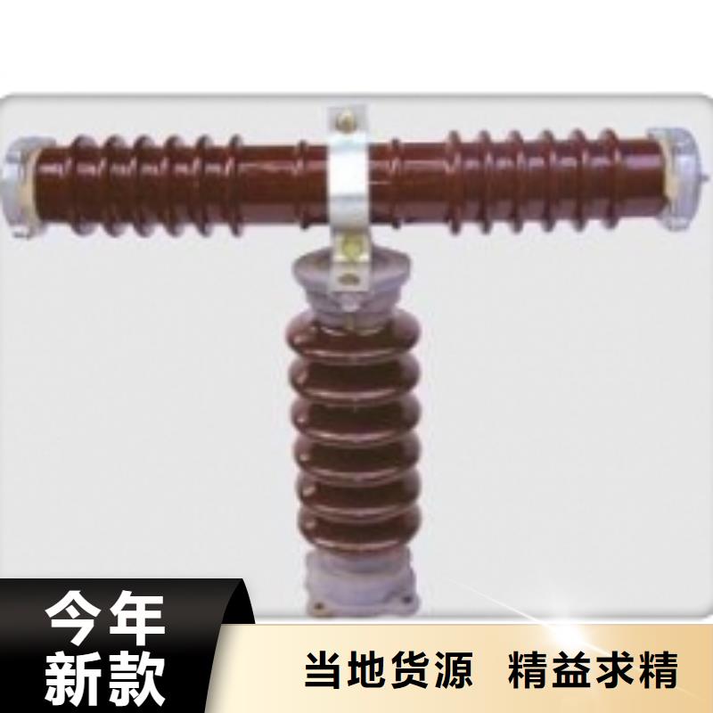 PD3-6KV/100A跌落式熔断器樊高