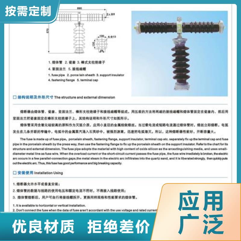 PD3-6KV/100A出口型跌落式熔断器