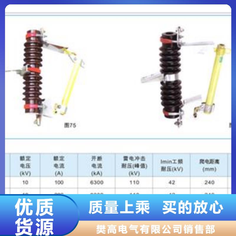 RNK-6/2A高压限流熔断器