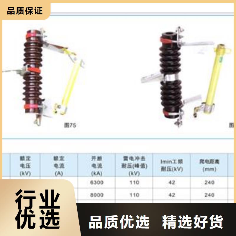 NCX-36/100A跌落开关厂家