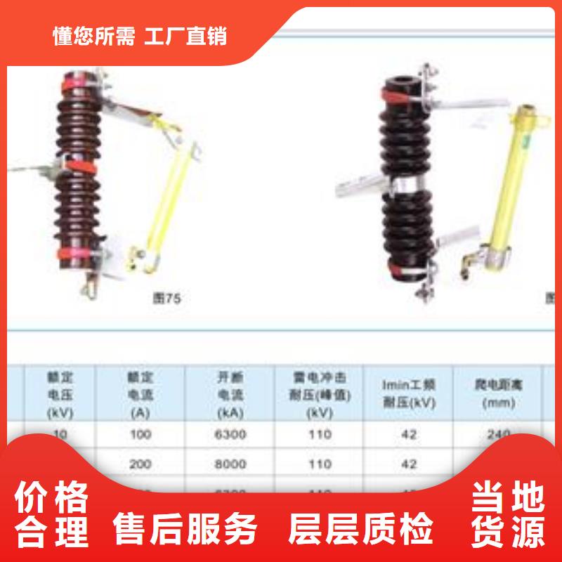 BR2-10/50A高压熔断器价格