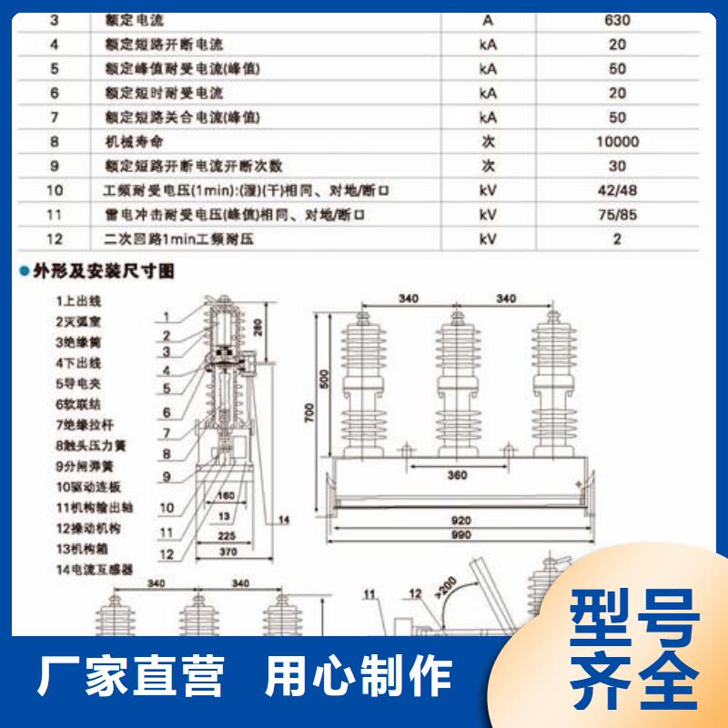 ZW8-12/125010KV户外柱上真空断路器樊高