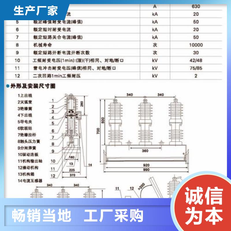 ZW7-40.5/T125010KV真空断路器樊高