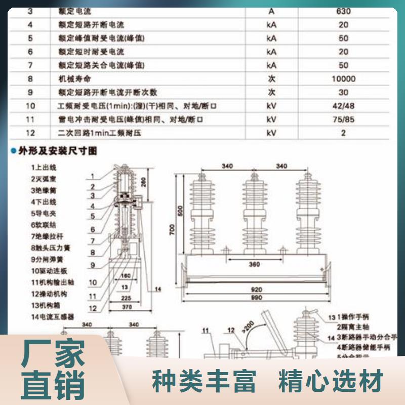 ZW7-40.5/160010KV柱上真空断路器樊高