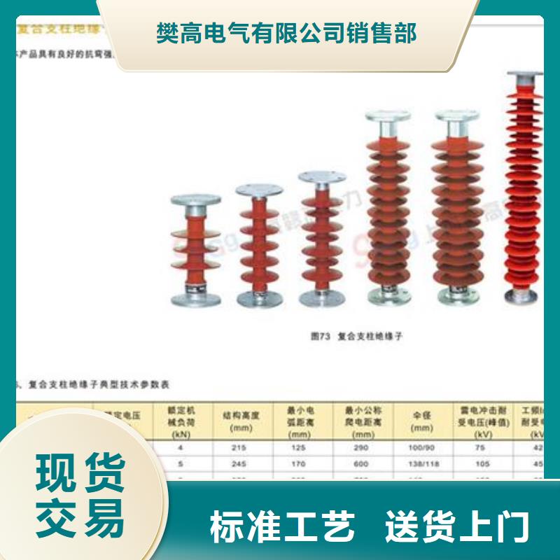 ZJ3-10Q/70*130环氧树脂绝缘子