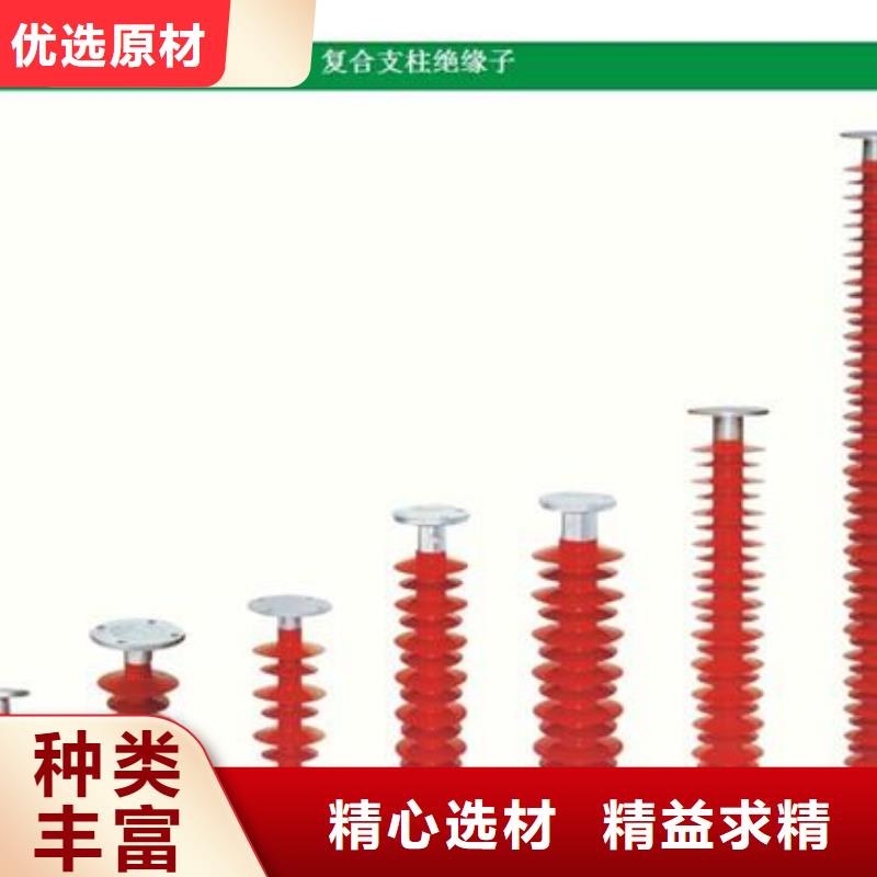 FZSW4-220/8高压硅胶绝缘子