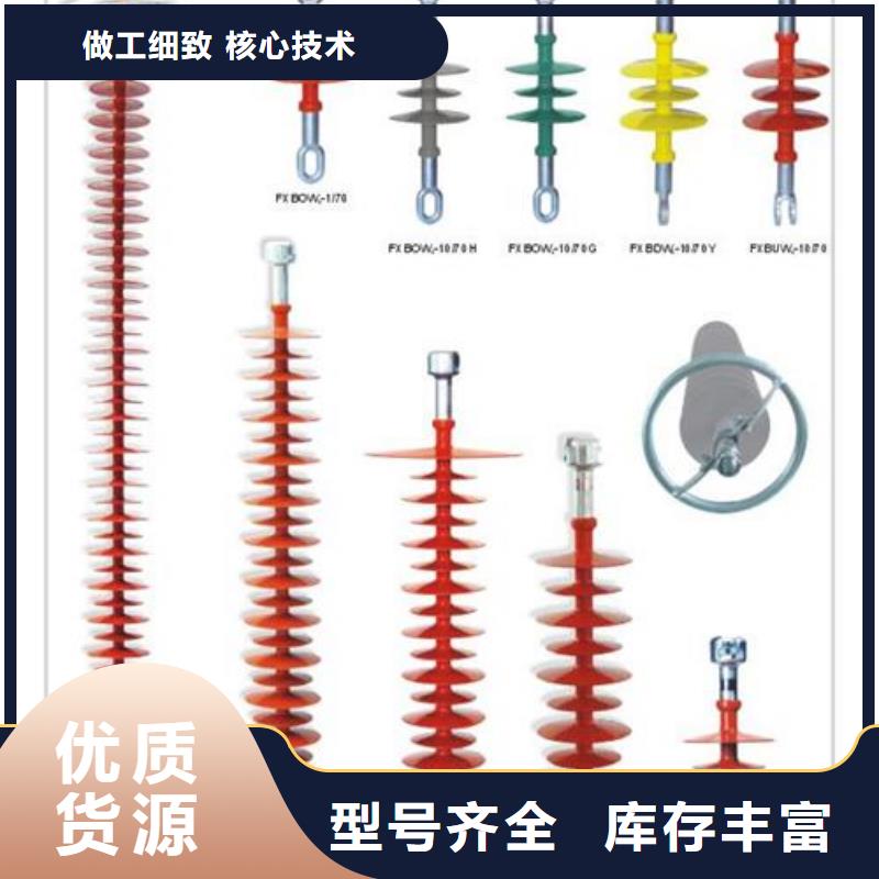 ZJ-10KV/70*130高压绝缘子