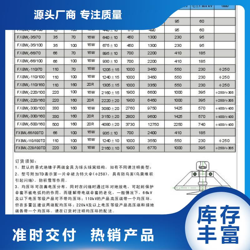 FZSW-220/10复合绝缘子樊高