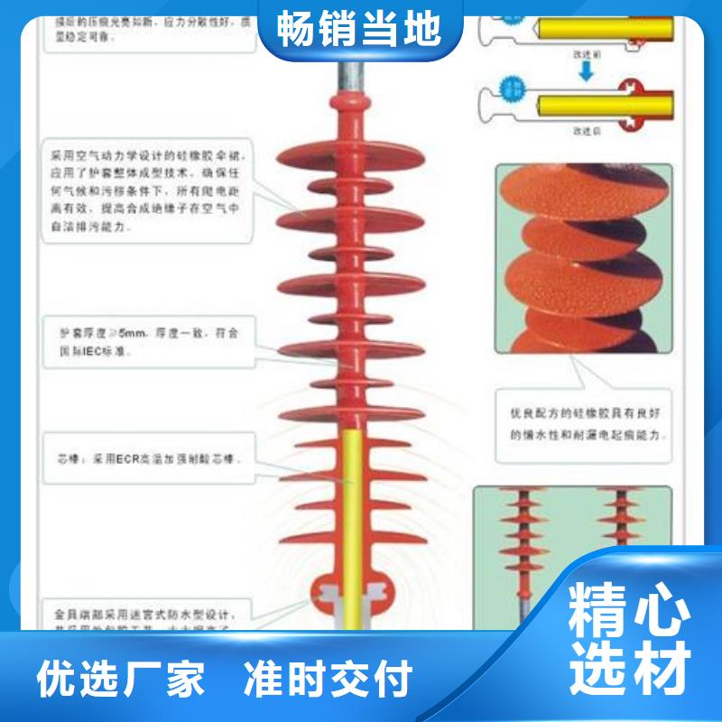 FXBW4-220/160硅胶棒型绝缘子