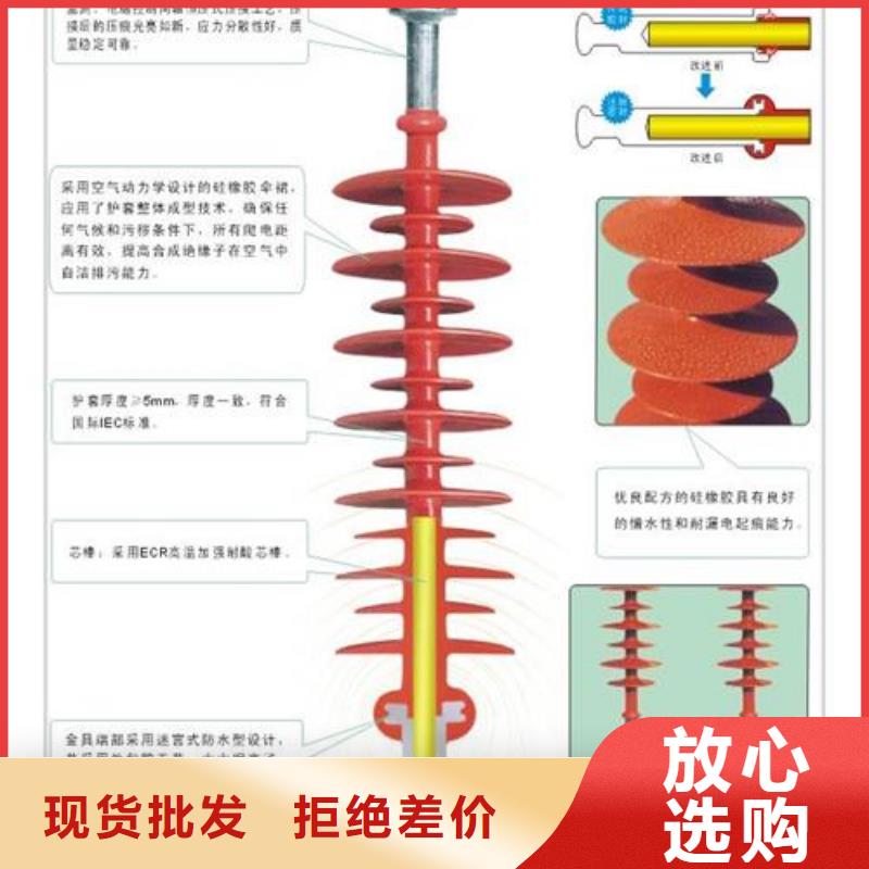 FXBW4-500/240棒型绝缘子