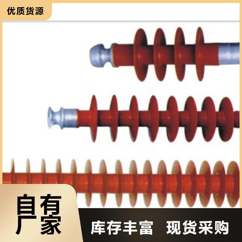 ZJ-10KV/70*130高压绝缘子