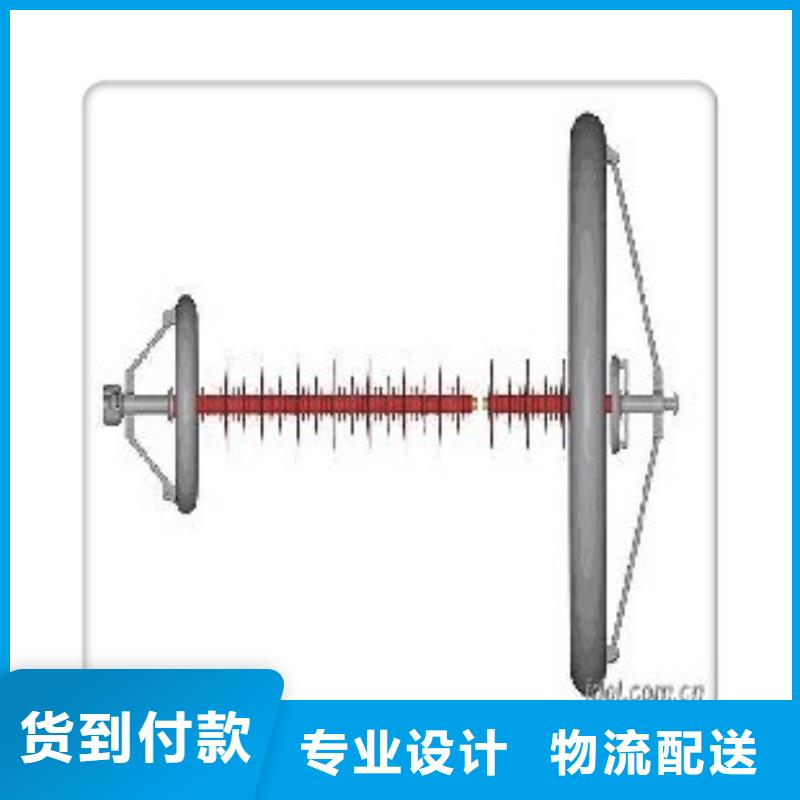 FXBW1-500/120硅胶绝缘子樊高