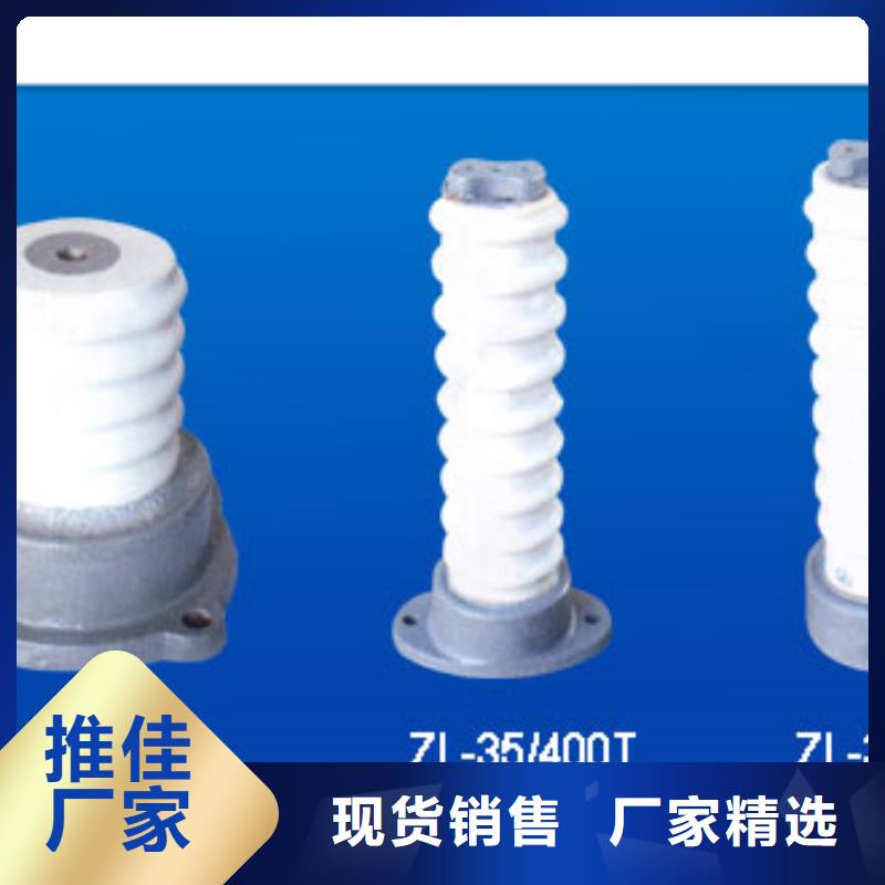 FZSW-72.5/10复合高压绝缘子