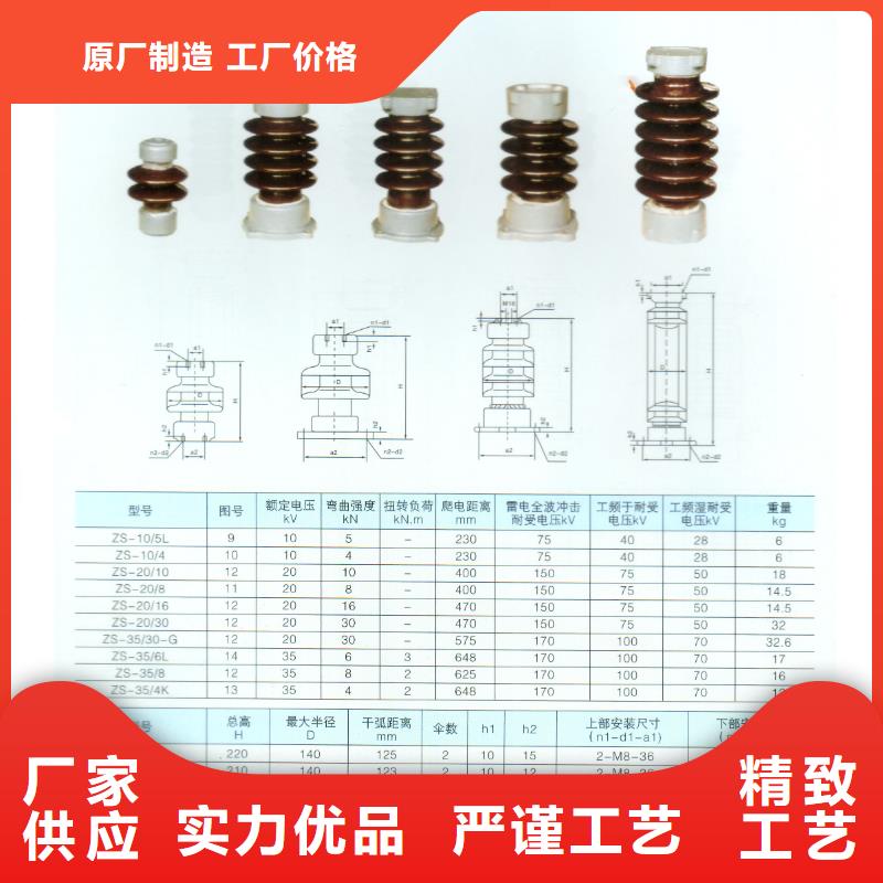 FZSW-110/16硅胶绝缘子樊高