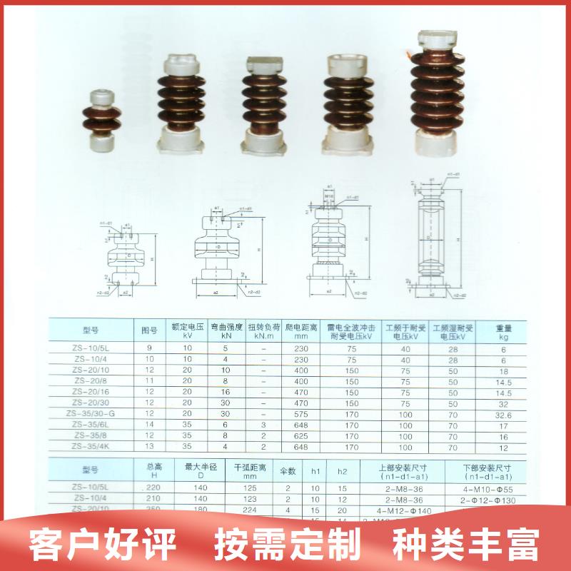 ZSW-63/4-3高压绝缘子樊高电气