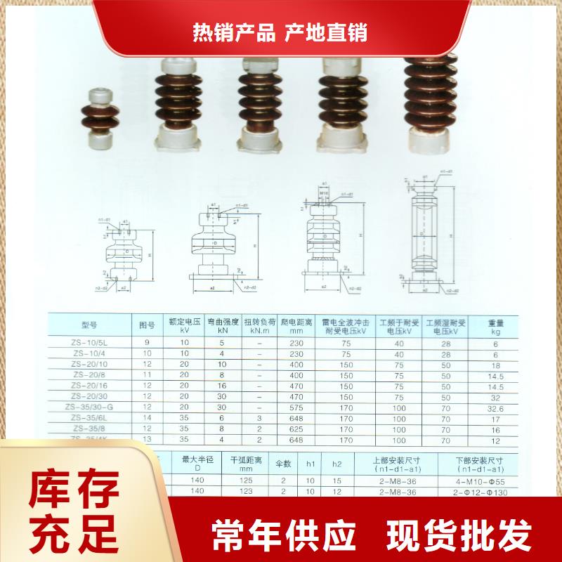 ZB-12Y绝缘子樊高电气